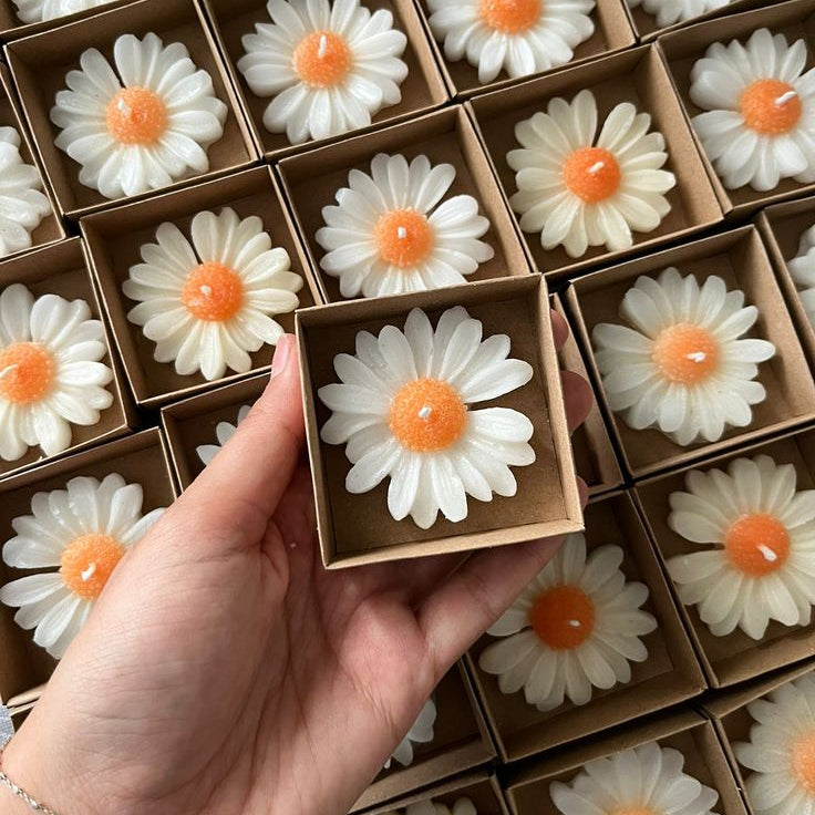 Daisy Candles
